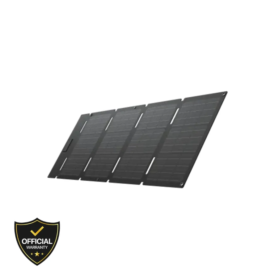 EcoFlow 60W Portable Solar Panel