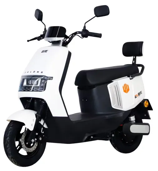 Julong G25 Electric Bike