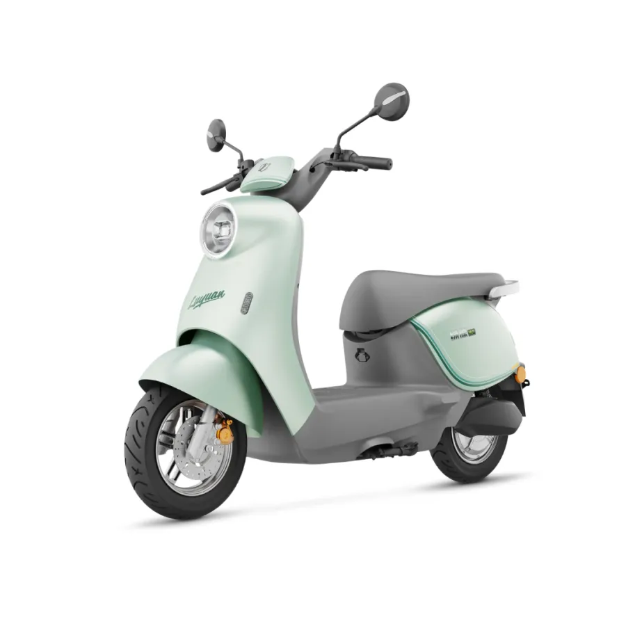 Luyuan MOK Electric Bike