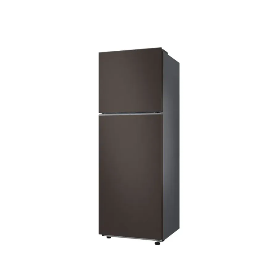 Samsung 305 Liters Bespoke Inverter No Frost Refrigerator (RT31CB5624C2TC)